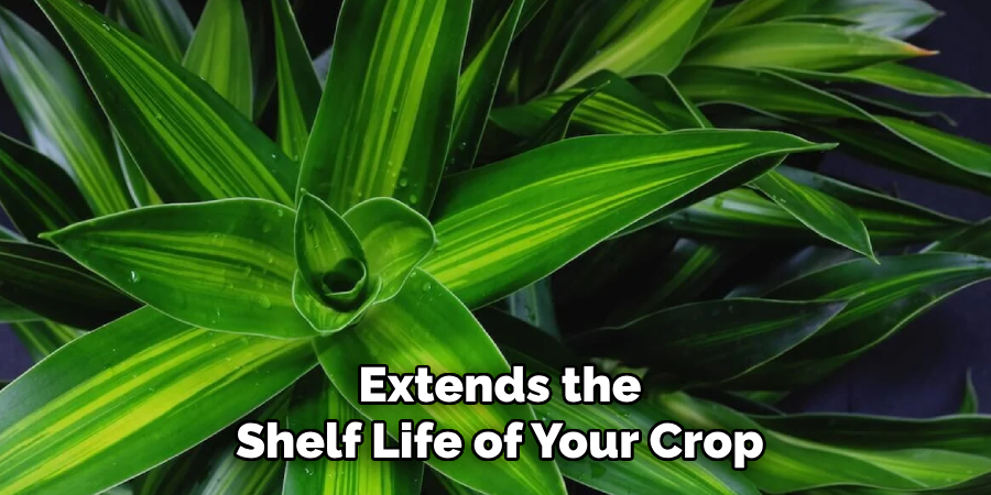 Extends the
Shelf Life of Your Crop