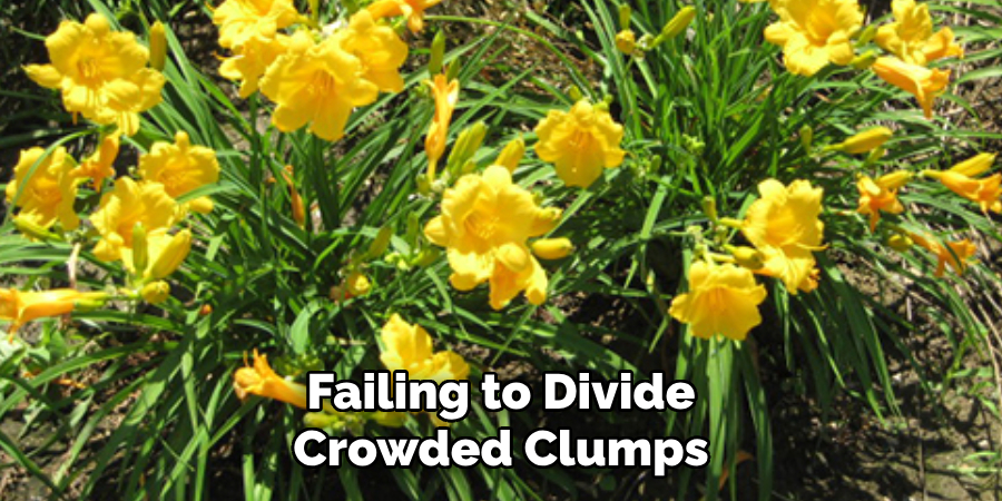 Failing to Divide Crowded Clumps