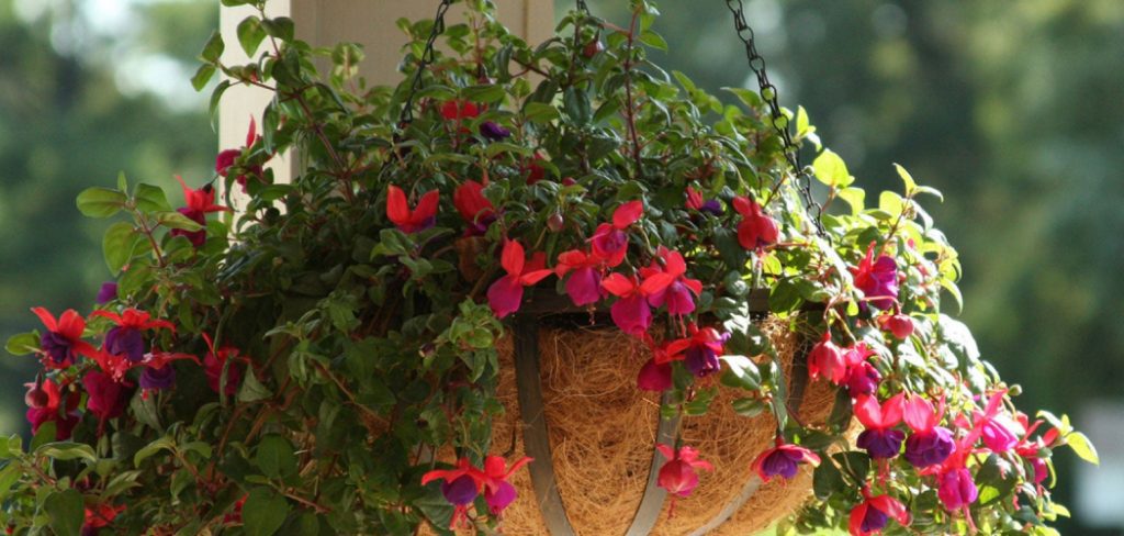 How to Use Coconut Liners for Planters