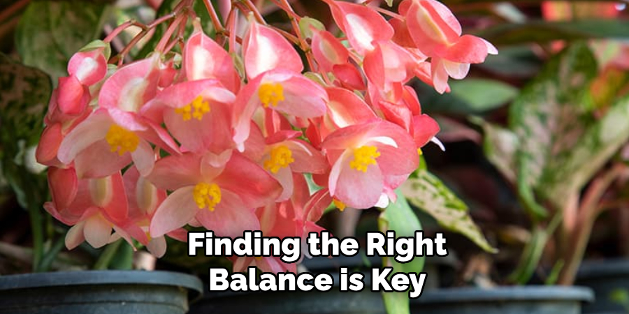 Finding the Right
Balance is Key