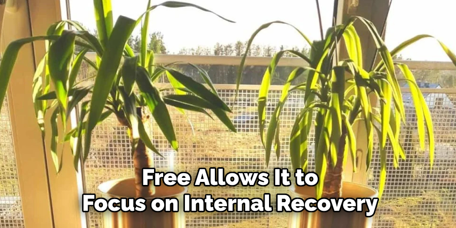 Free Allows It to
Focus on Internal Recovery
