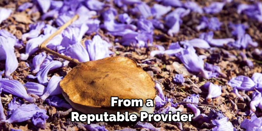 From a
Reputable Provider