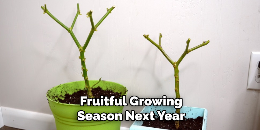 Fruitful Growing
Season Next Year