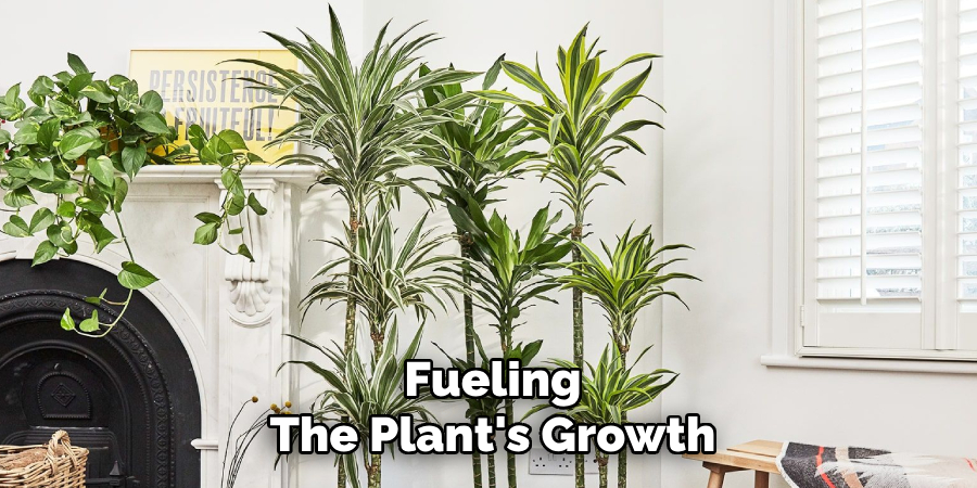 Fueling
The Plant's Growth
