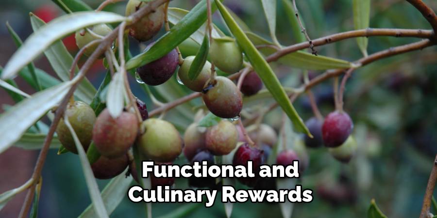 Functional and Culinary Rewards