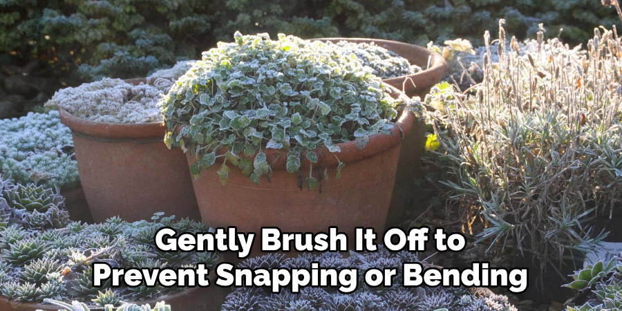 Gently Brush It Off to
Prevent Snapping or Bending