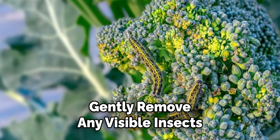Gently Remove
Any Visible Insects
