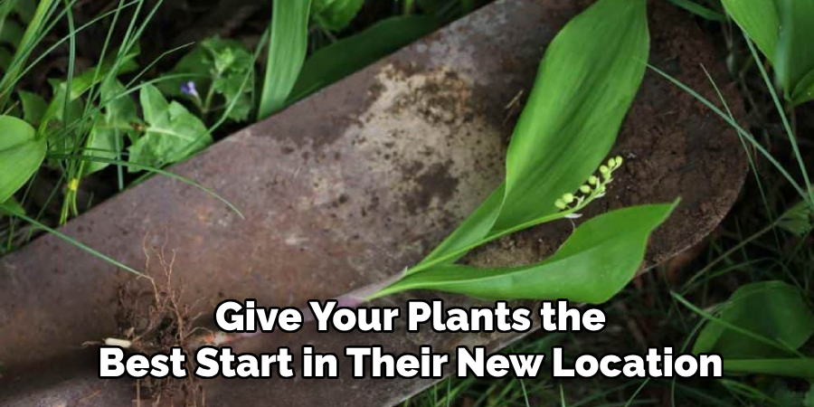 Give Your Plants the
Best Start in Their New Location