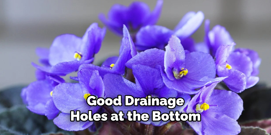 Good Drainage
Holes at the Bottom