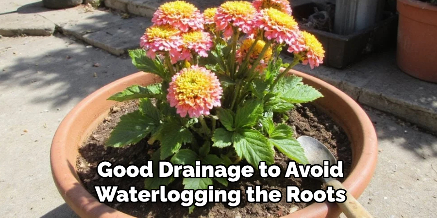 Good Drainage to Avoid
Waterlogging the Roots