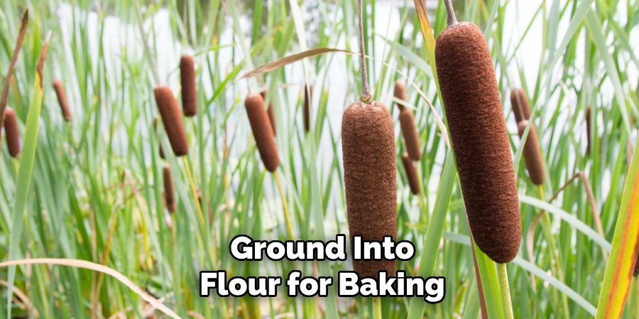 Ground Into
Flour for Baking