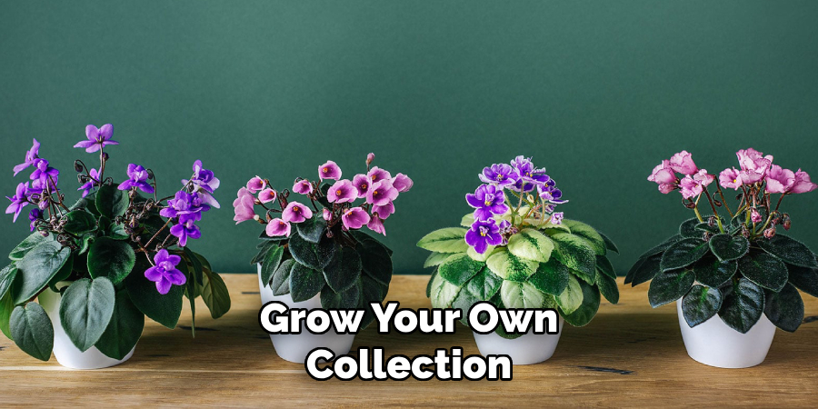 Grow Your Own
Collection