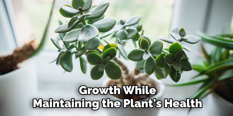 Growth While
Maintaining the Plant's Health