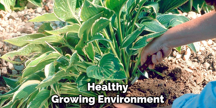 Healthy
Growing Environment