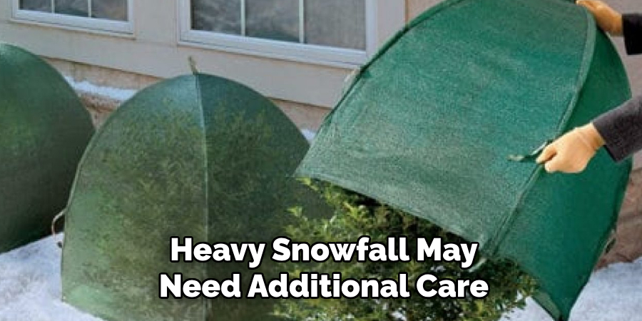 Heavy Snowfall May
Need Additional Care