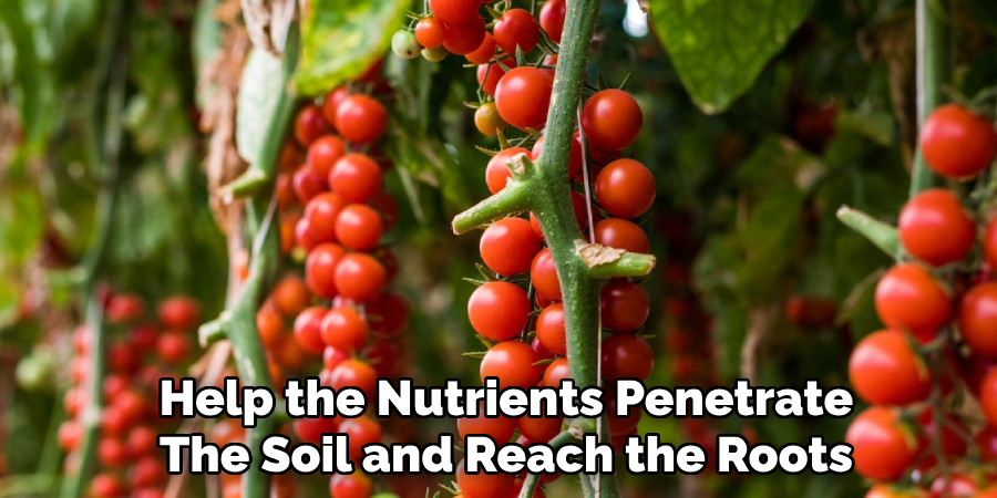 Help the Nutrients Penetrate
The Soil and Reach the Roots