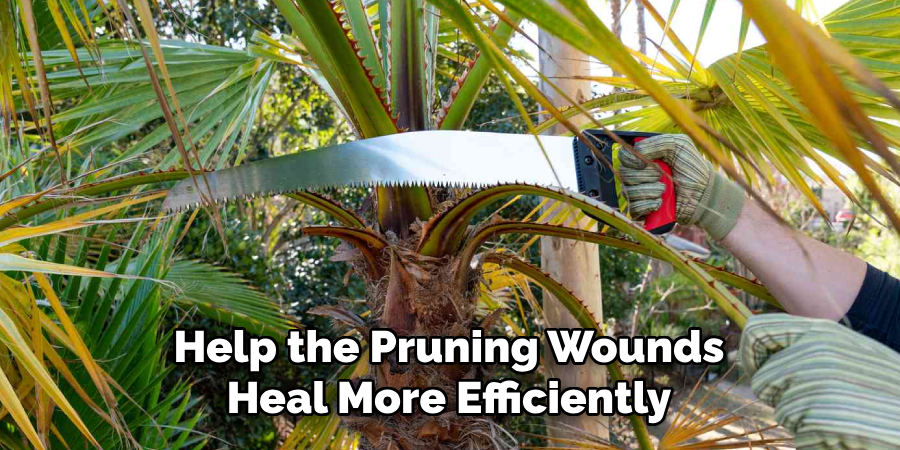 Help the Pruning Wounds
Heal More Efficiently