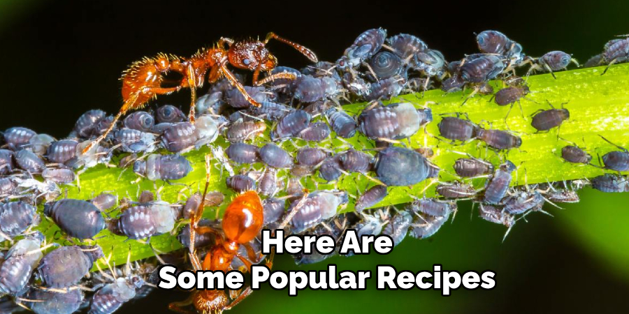 Here Are
Some Popular Recipes