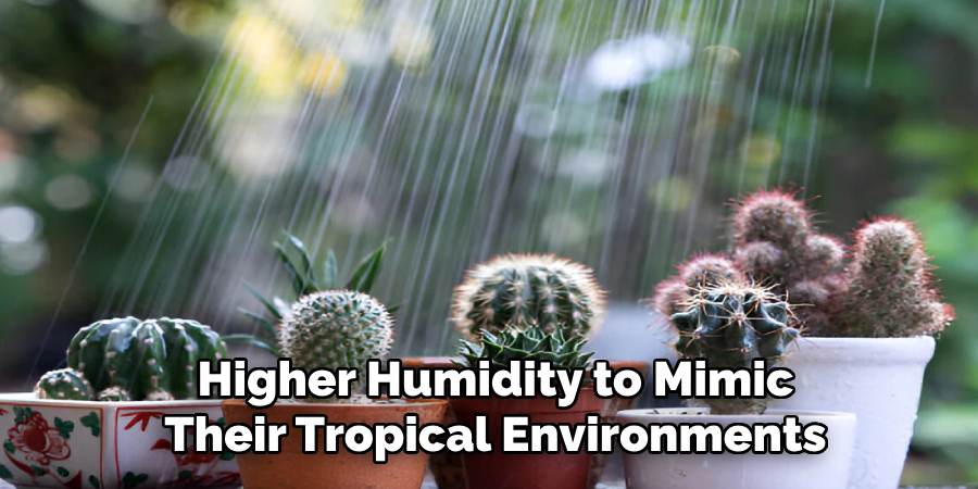 Higher Humidity to Mimic
Their Tropical Environments