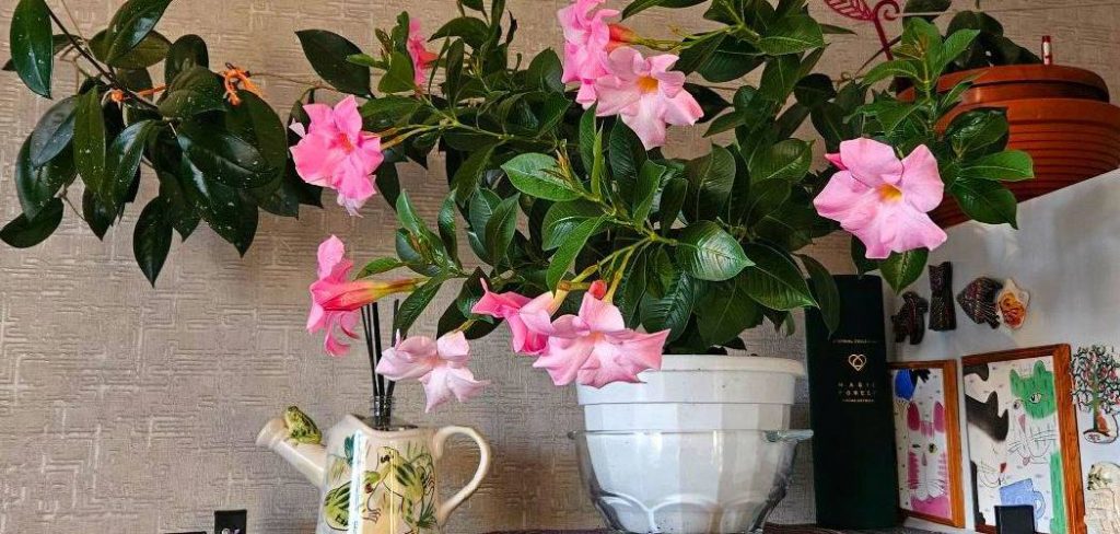 How to Bring Outdoor Plants Inside