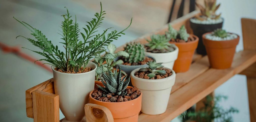 How to Fill a Pot for Plants