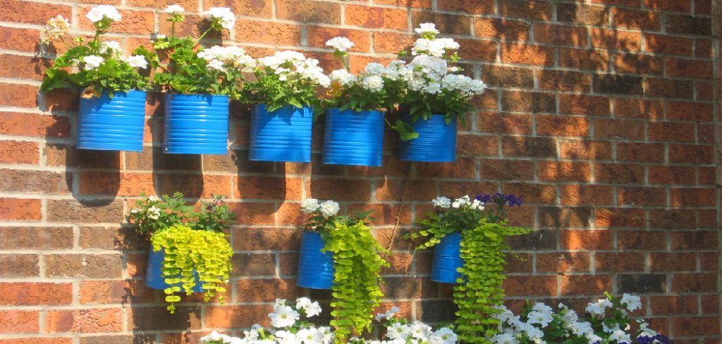 How to Hang Planters on Wall