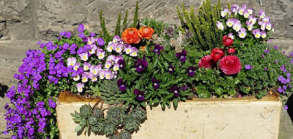 How to Plant Flowers in Large Planters