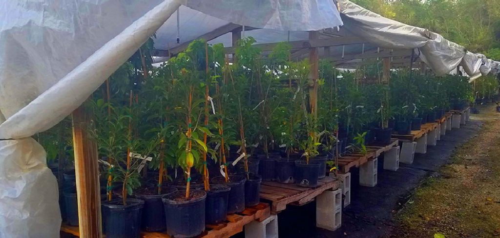 How to Protect Container Plants in Winter