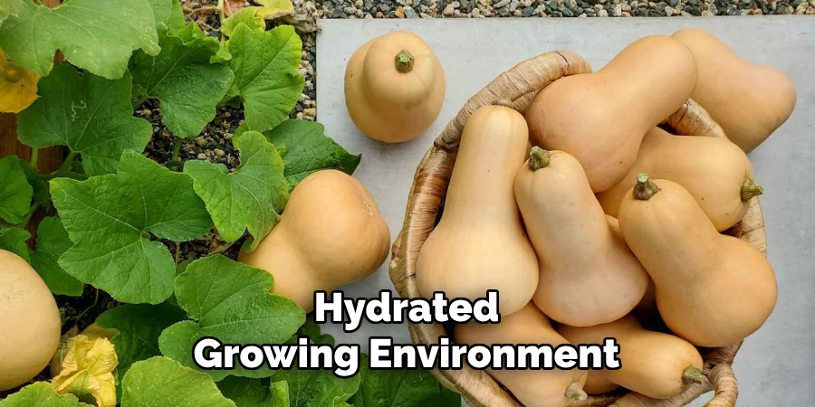 Hydrated
Growing Environment