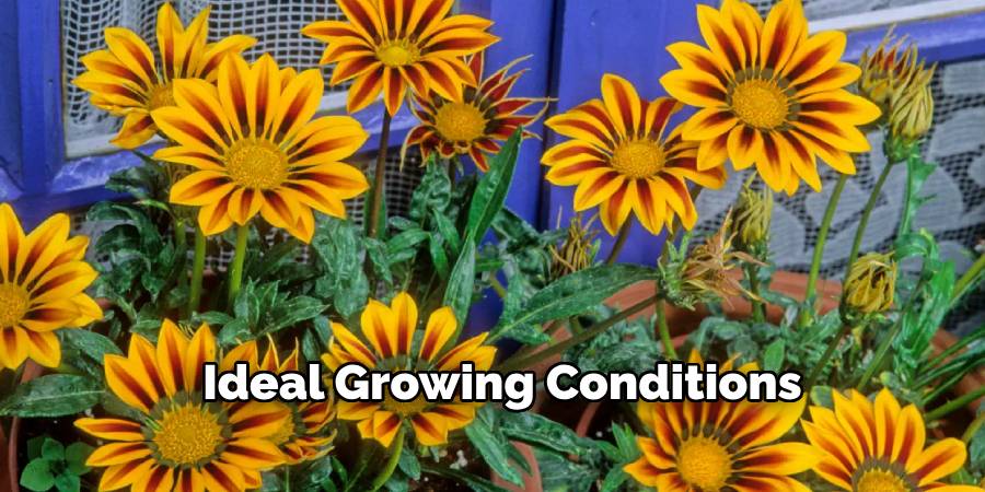 Ideal Growing Conditions