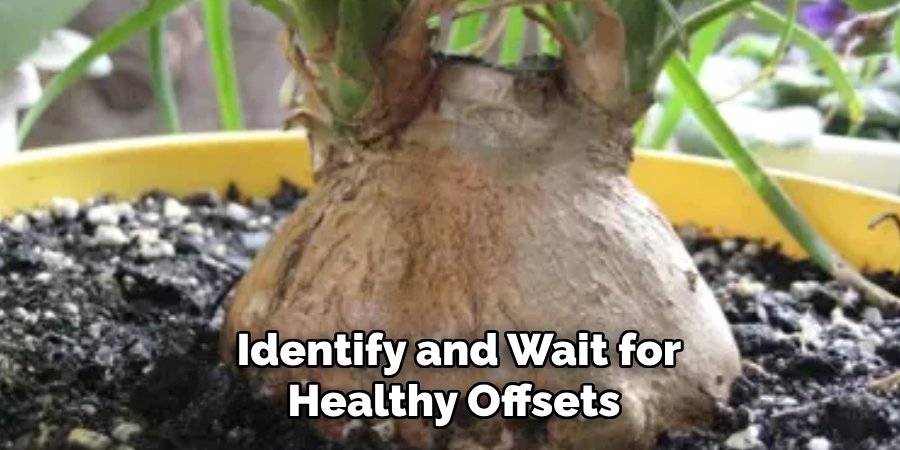 Identify and Wait for Healthy Offsets