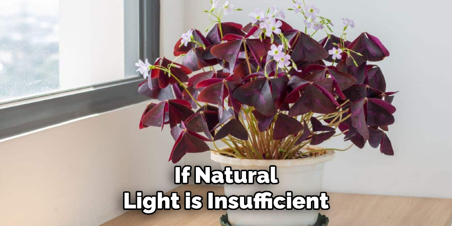 If Natural
Light is Insufficient