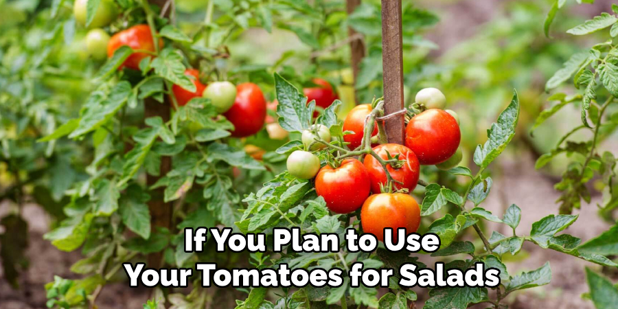 If You Plan to Use
Your Tomatoes for Salads