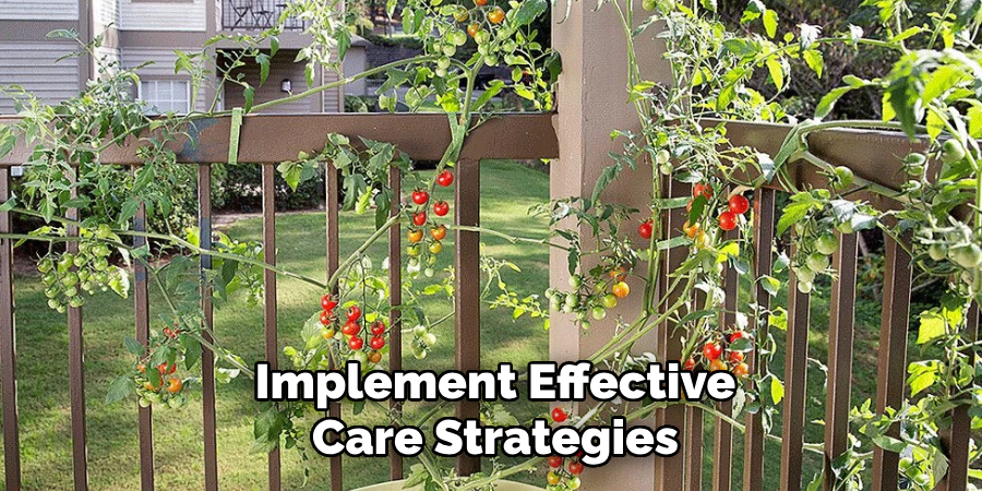 Implement Effective
Care Strategies