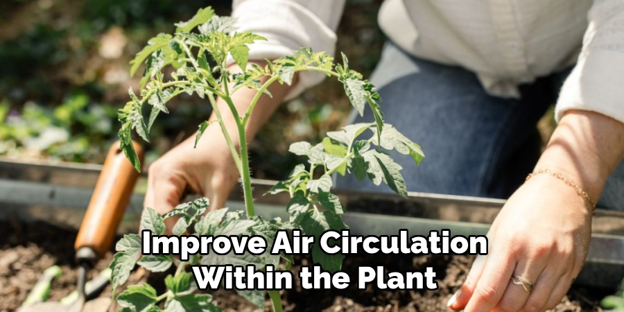 Improve Air Circulation
Within the Plant