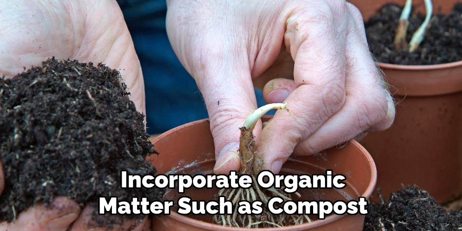 Incorporate Organic
Matter Such as Compost