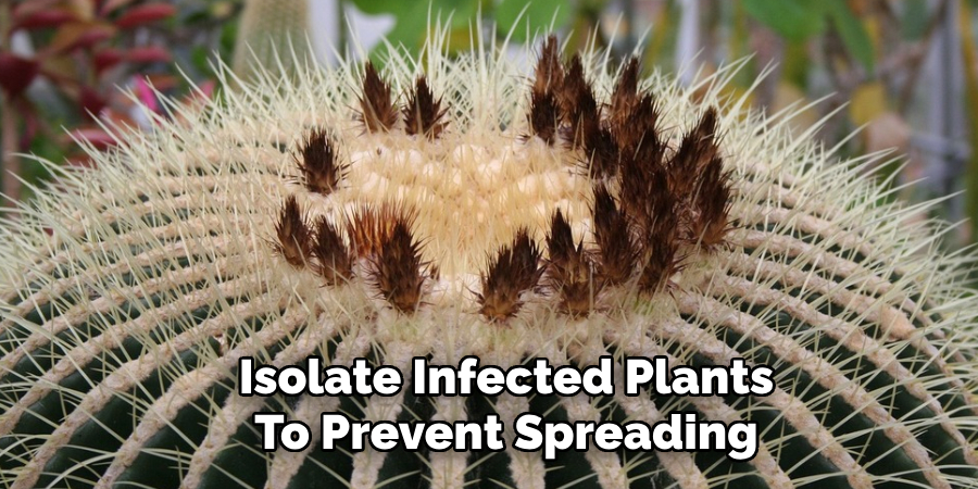 Isolate Infected Plants
To Prevent Spreading