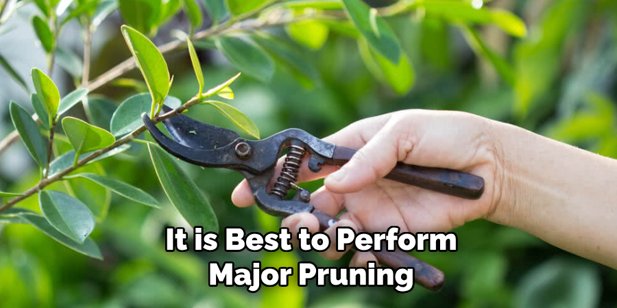 It is Best to Perform
Major Pruning