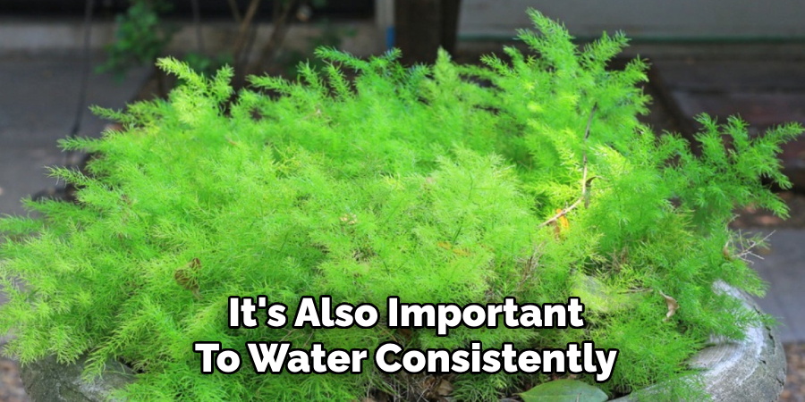 It's Also Important
To Water Consistently