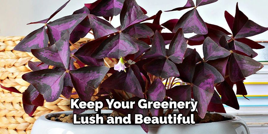 Keep Your Greenery
Lush and Beautiful