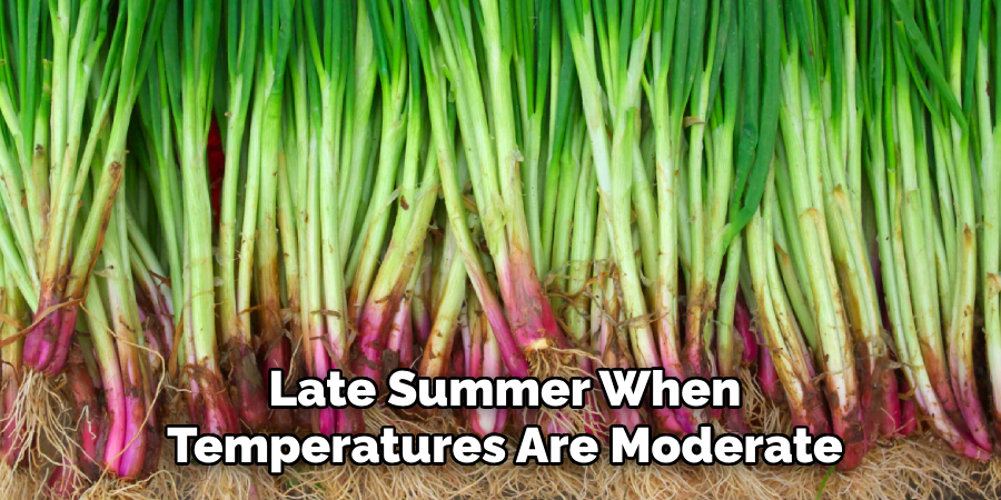 Late Summer When
Temperatures Are Moderate
