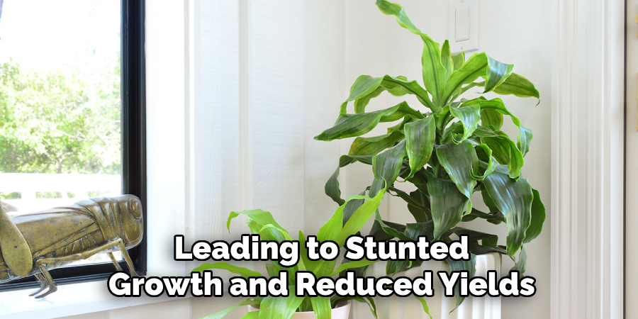 Leading to Stunted
Growth and Reduced Yields