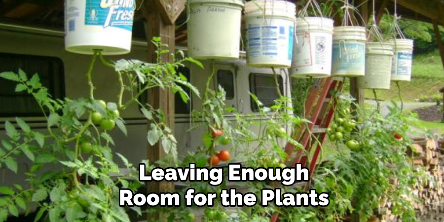 Leaving Enough
Room for the Plants