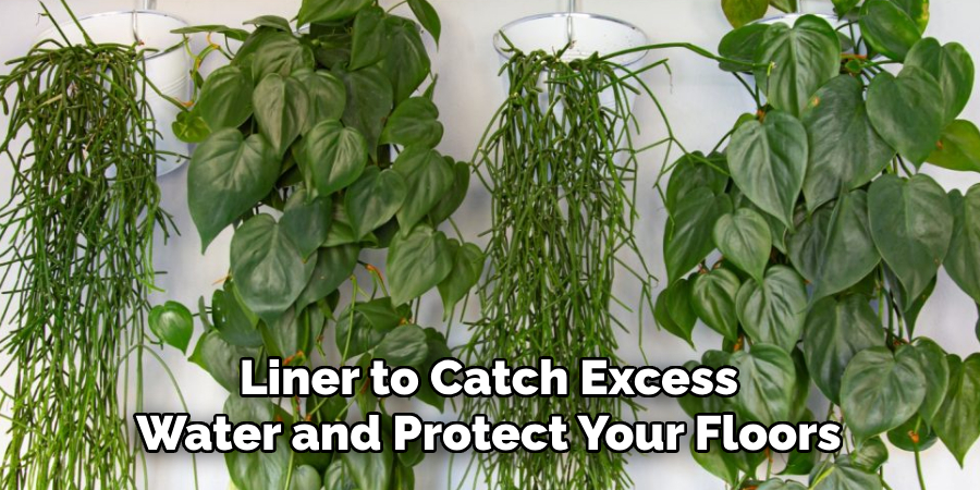 Liner to Catch Excess
Water and Protect Your Floors
