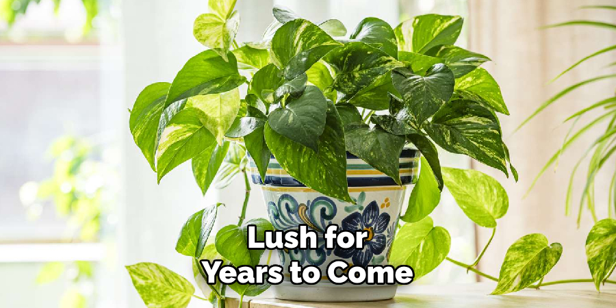Lush for
Years to Come