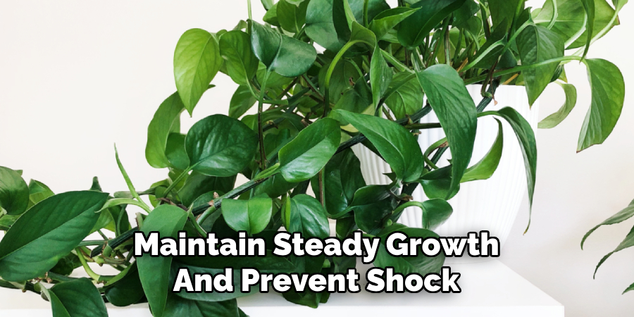 Maintain Steady Growth
And Prevent Shock