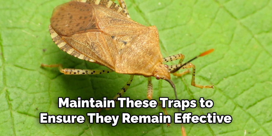 Maintain These Traps to
Ensure They Remain Effective