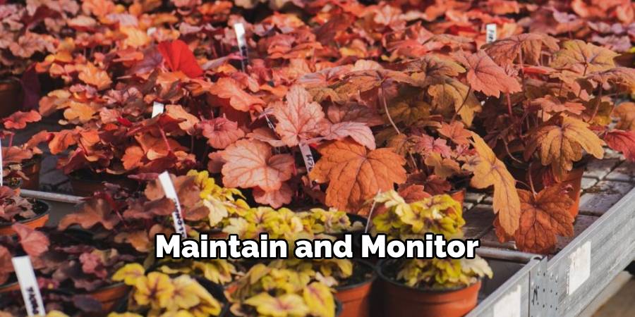 Maintain and Monitor