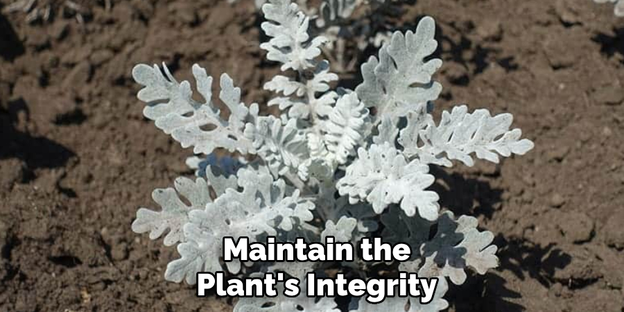 Maintain the
Plant's Integrity