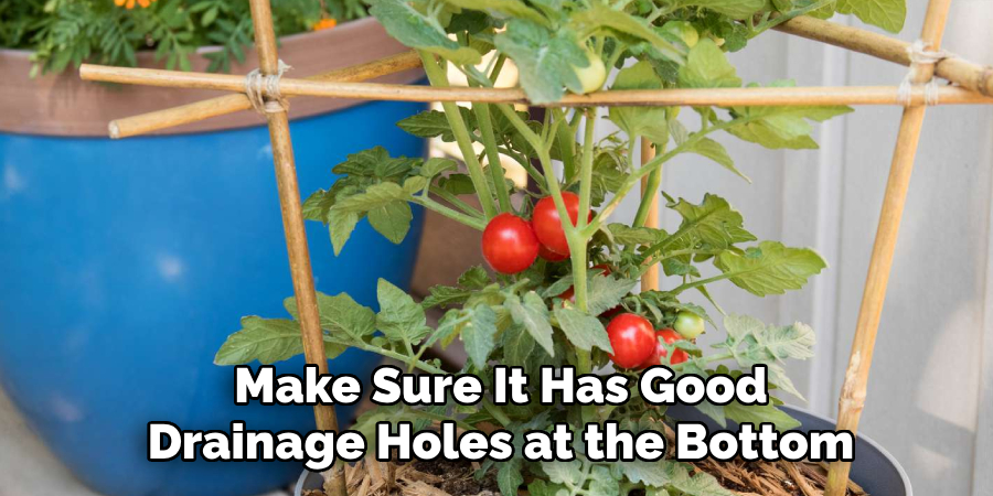 Make Sure It Has Good
Drainage Holes at the Bottom